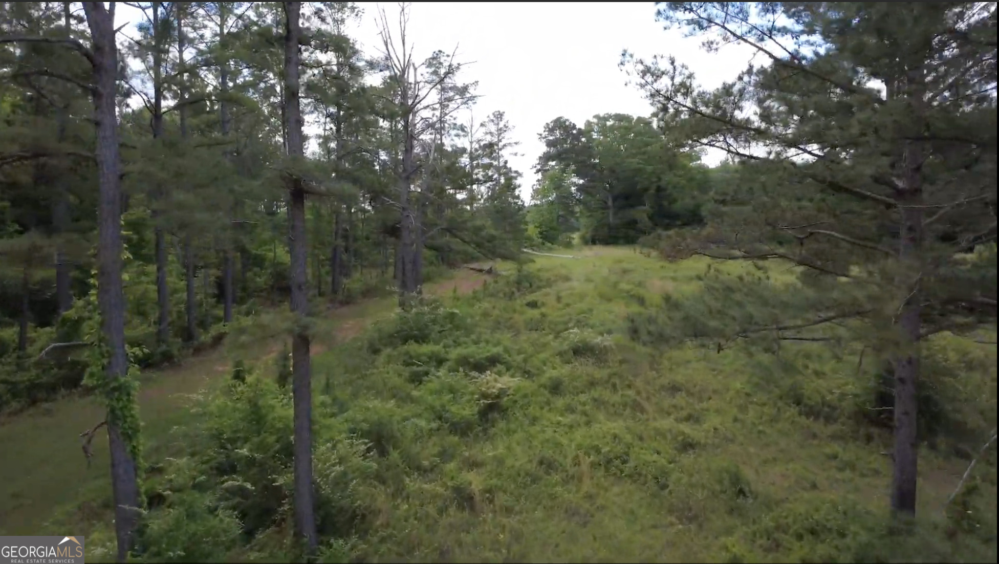 0 District Line Road Cuthbert, GA 39840 - Photo 5 of 26