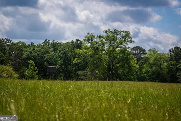 $339,900 | 0 District Line Road, Cuthbert, GA 39840