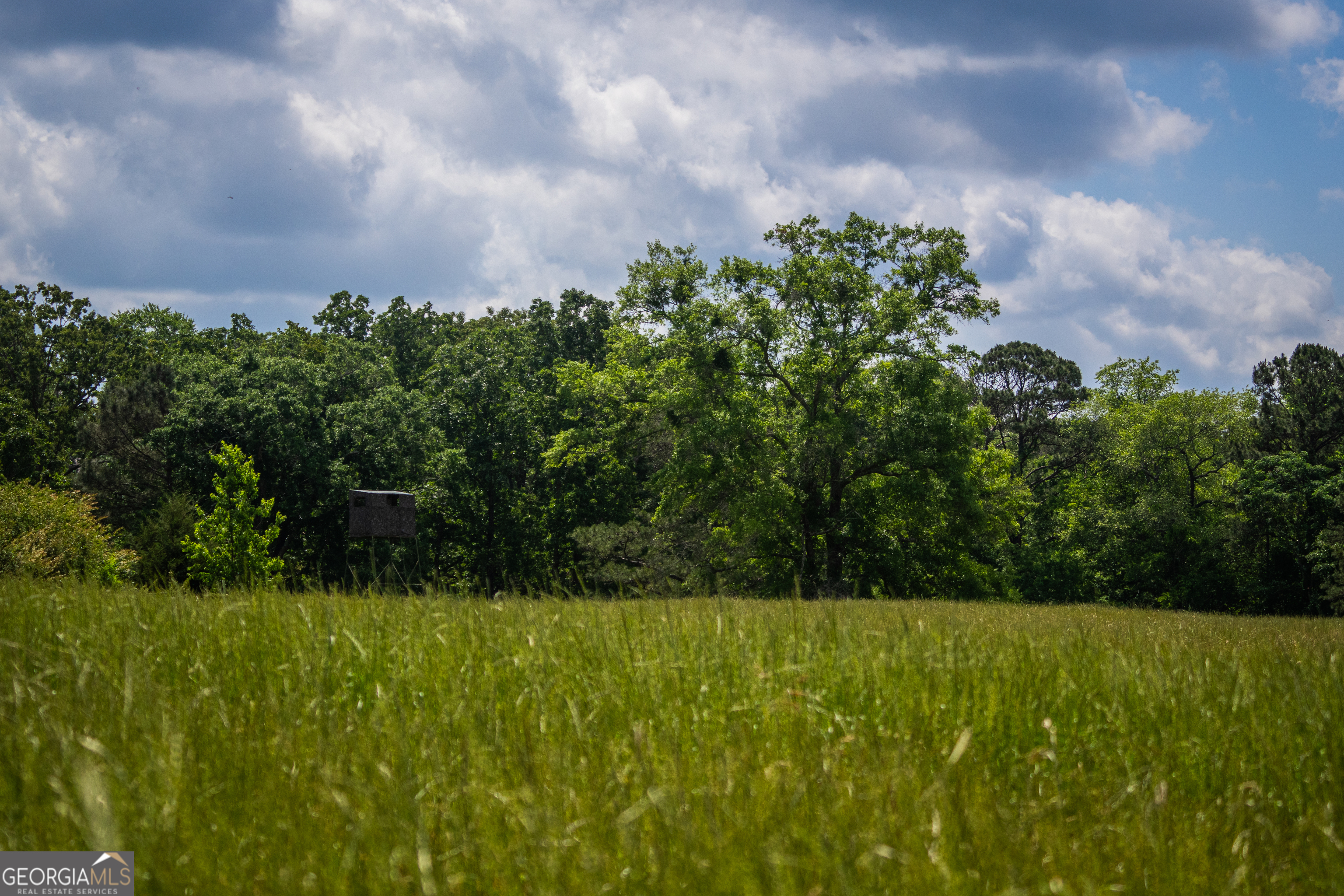 0 District Line Road Cuthbert, GA 39840 - Photo 6 of 26