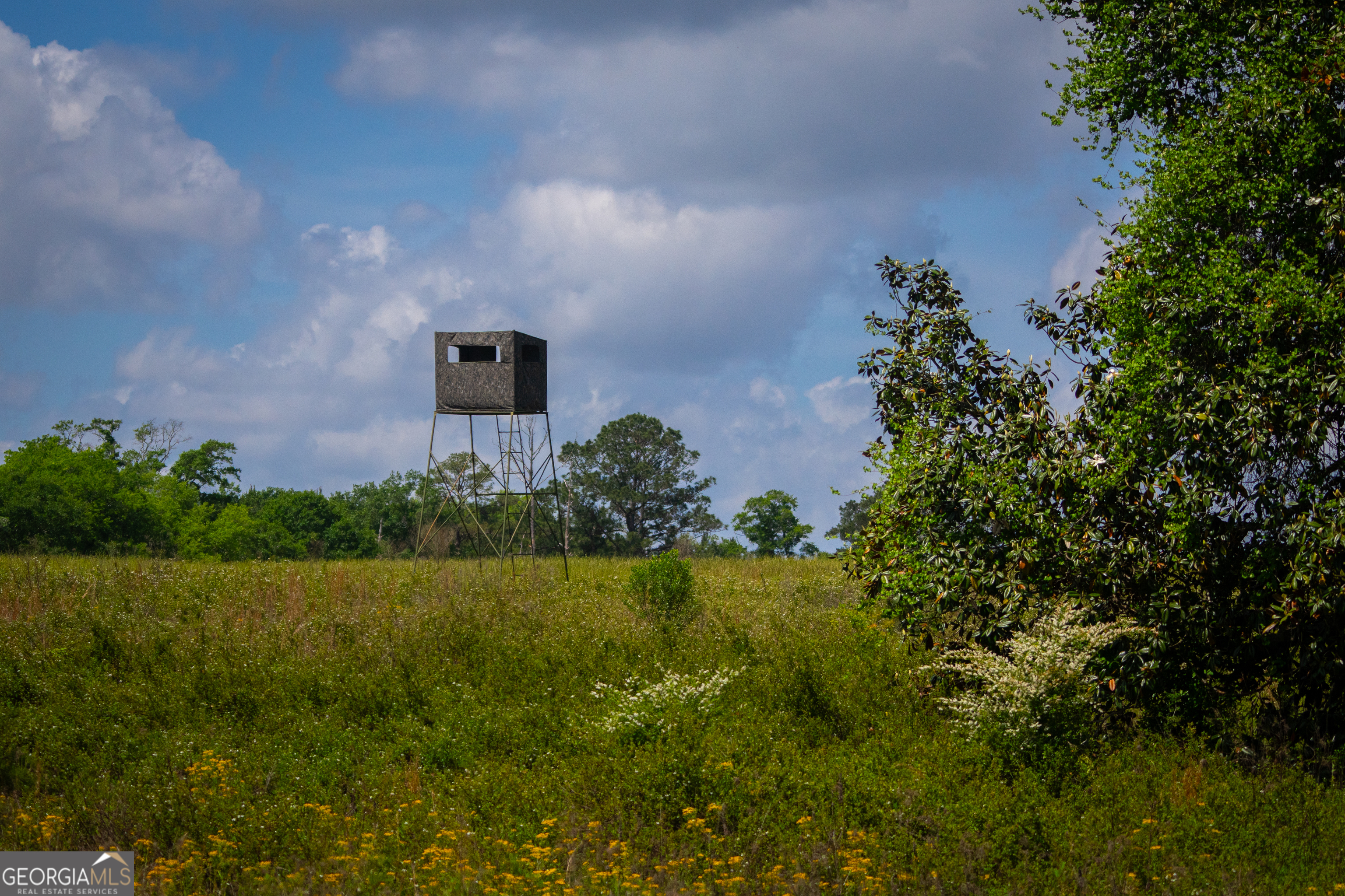 0 District Line Road Cuthbert, GA 39840 - Photo 7 of 26