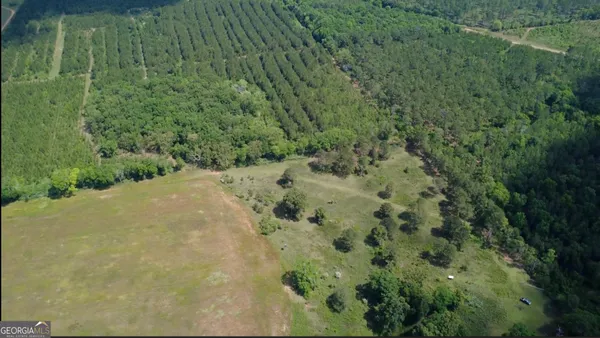 $339,900 | 0 District Line Road, Cuthbert, GA 39840