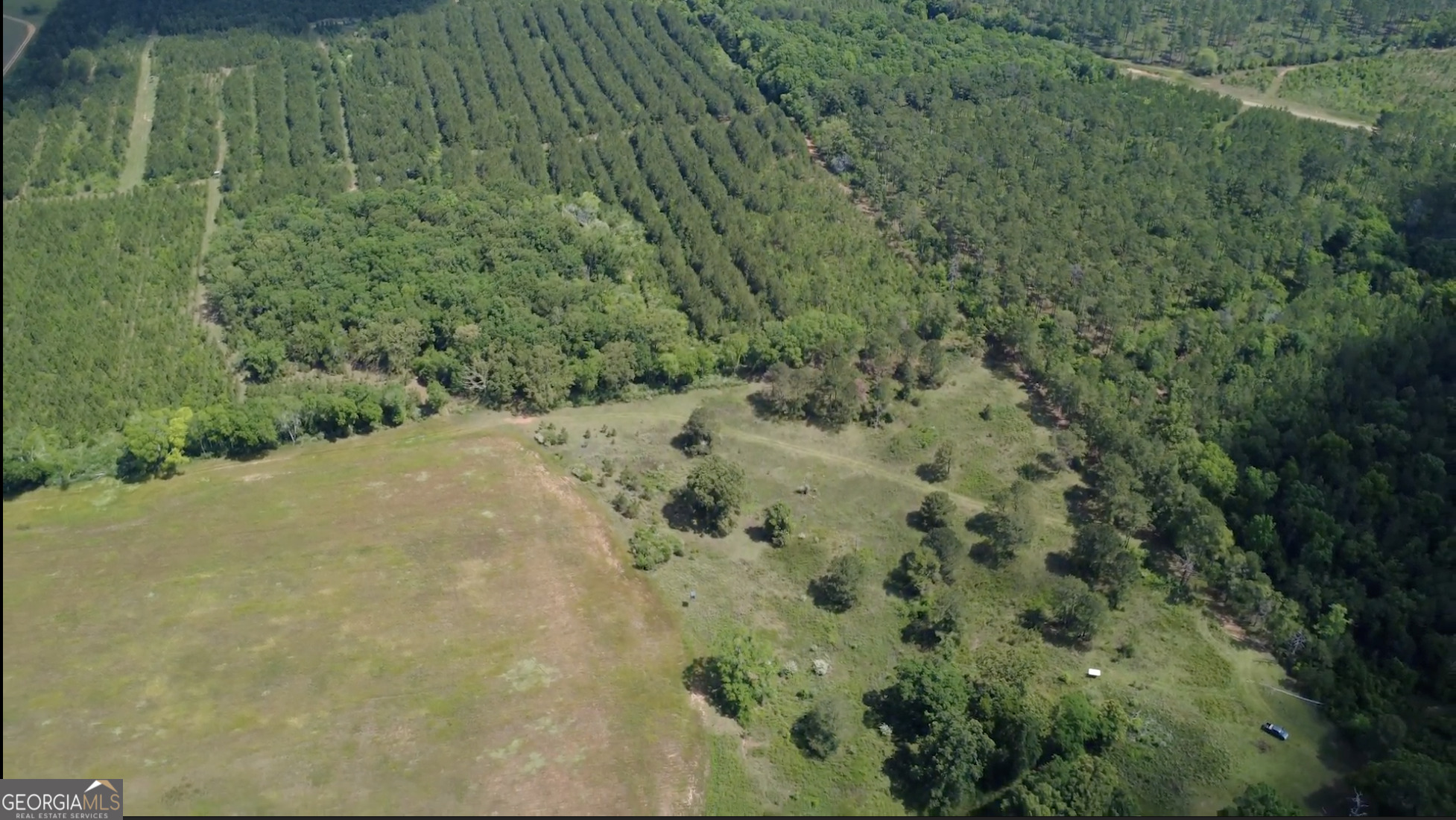 0 District Line Road Cuthbert, GA 39840 - Photo 8 of 26