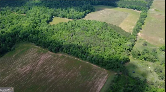 $339,900 | 0 District Line Road, Cuthbert, GA 39840