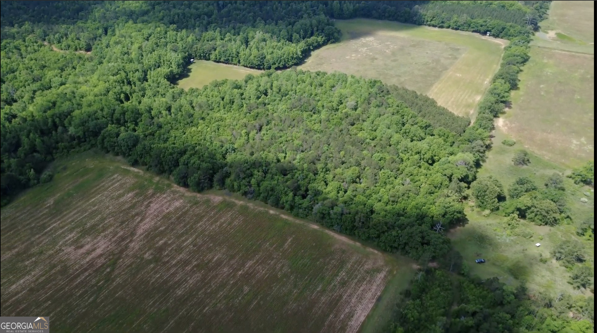0 District Line Road Cuthbert, GA 39840 - Photo 9 of 26