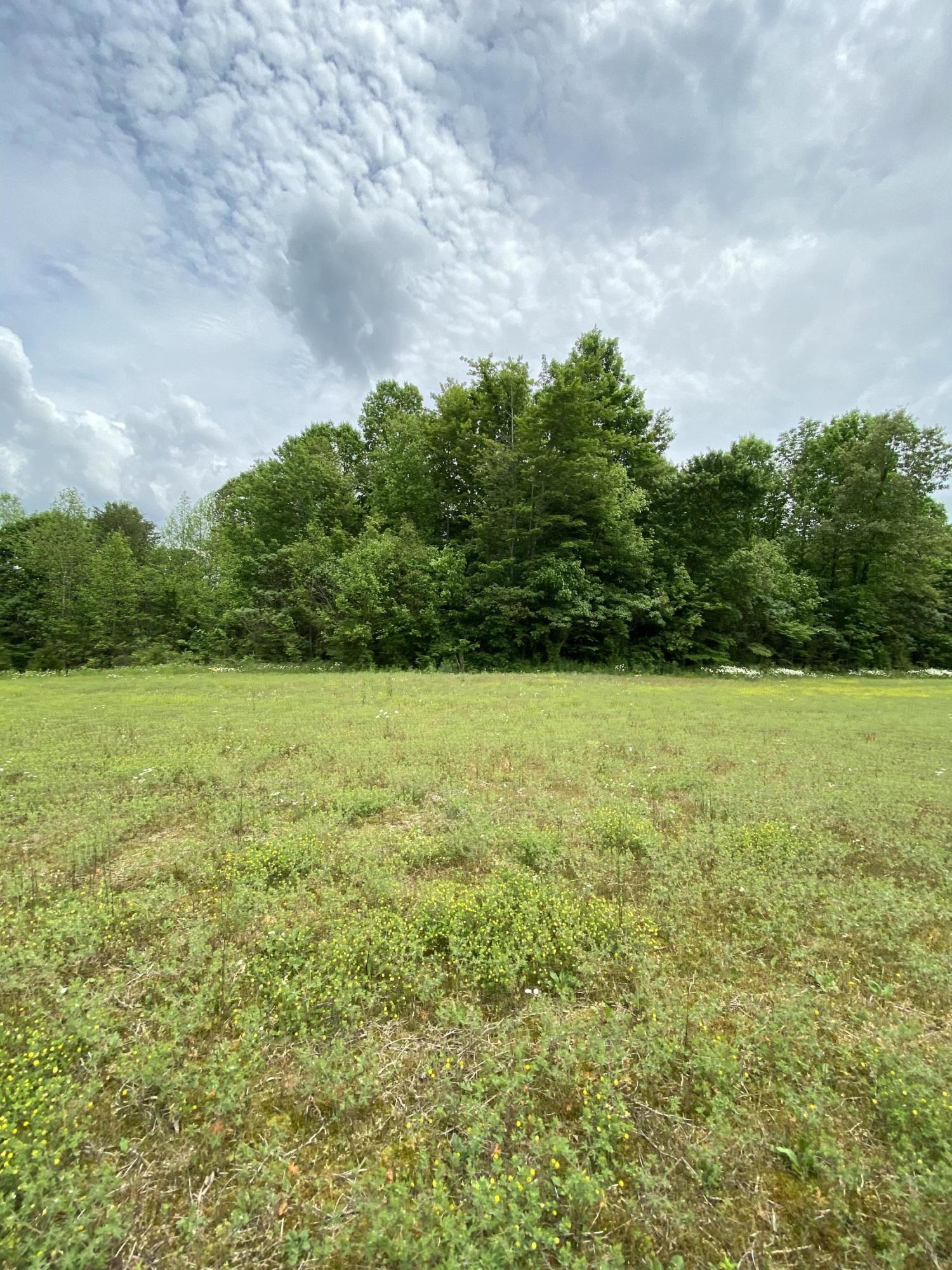 123 South Fork Ridge Road Liberty, KY 42539 - Photo 26 of 28 388241FB-B88A-4AF9-B0FA-F7AE442934F3<|>P