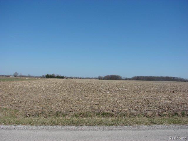 DSC09338