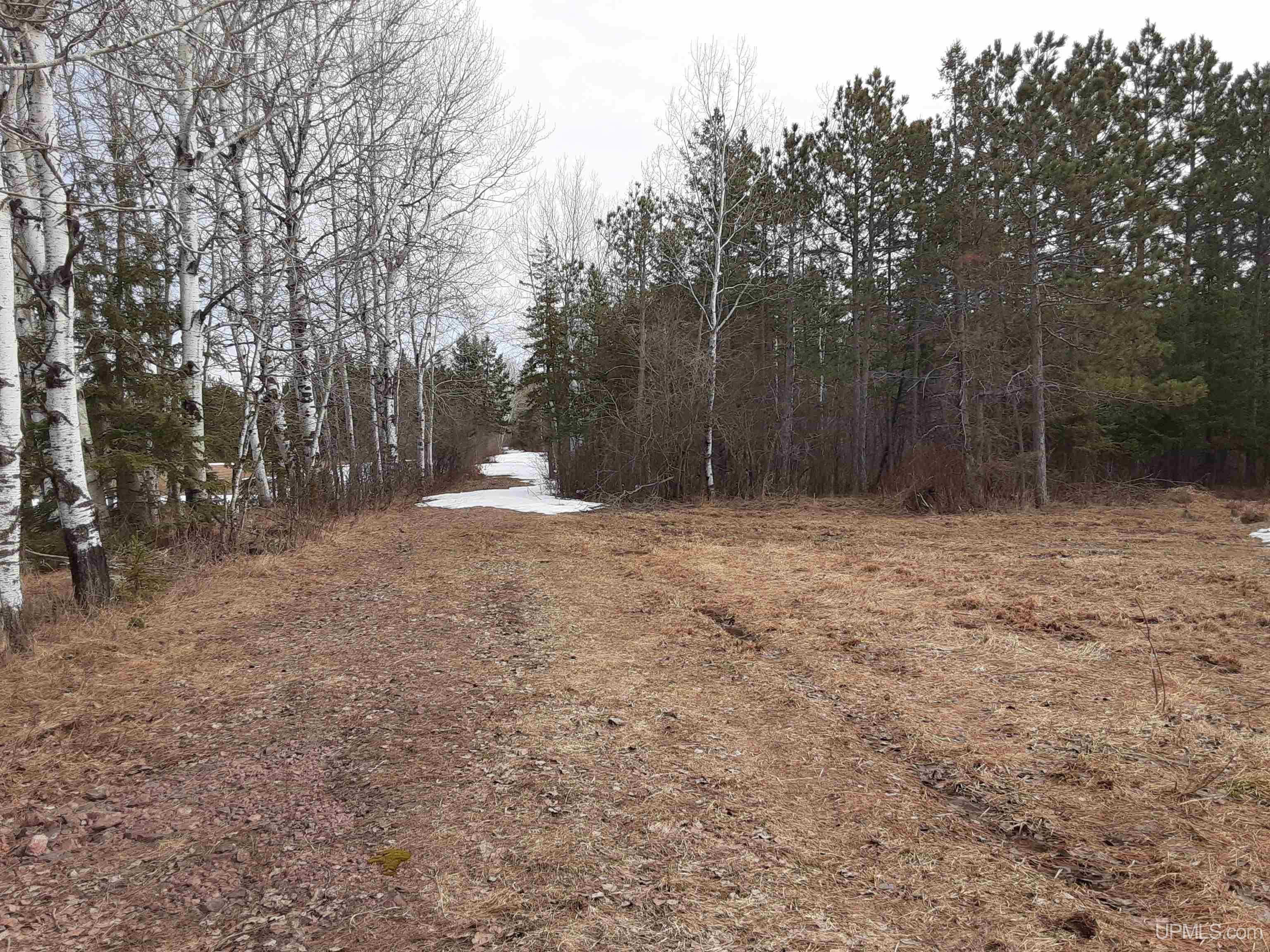 39749 Davis Road High Bridge, WI 54846 - Photo 10 of 10