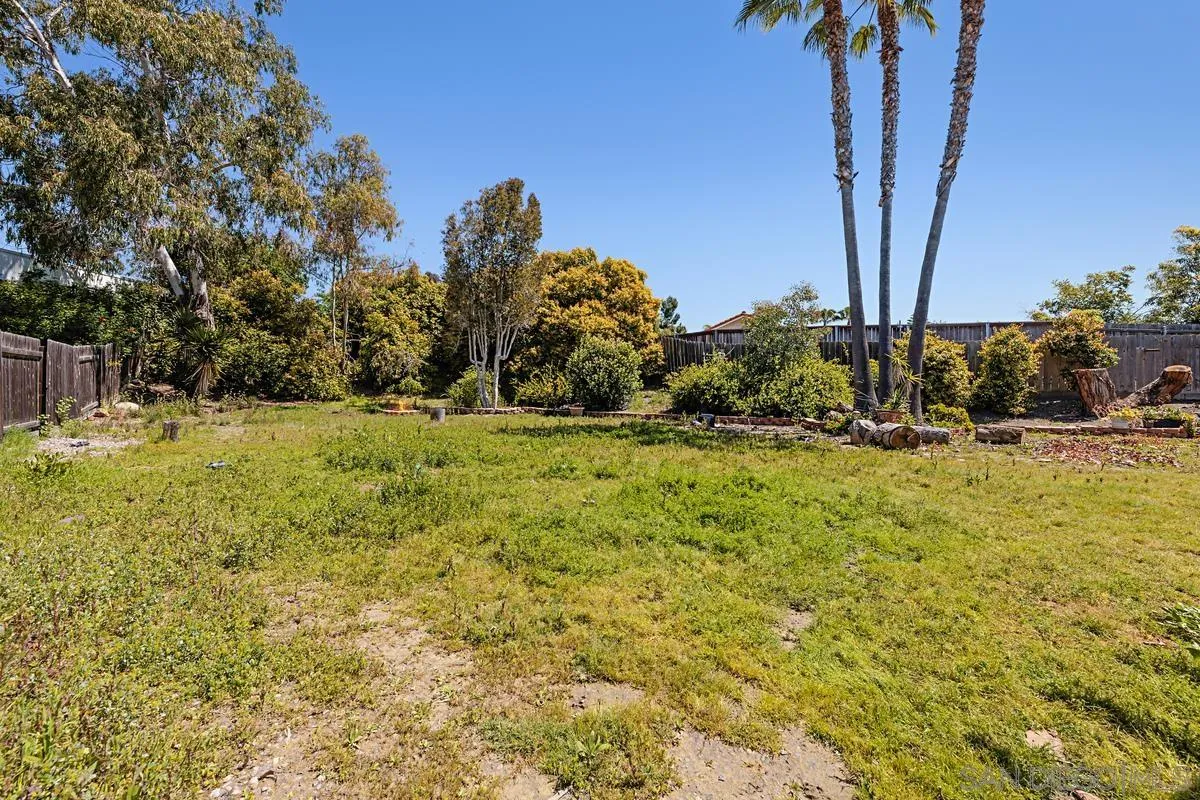 1505 Avenida Oceano Oceanside, CA 92056 - Photo 24 of 26 a view of backyard with tree