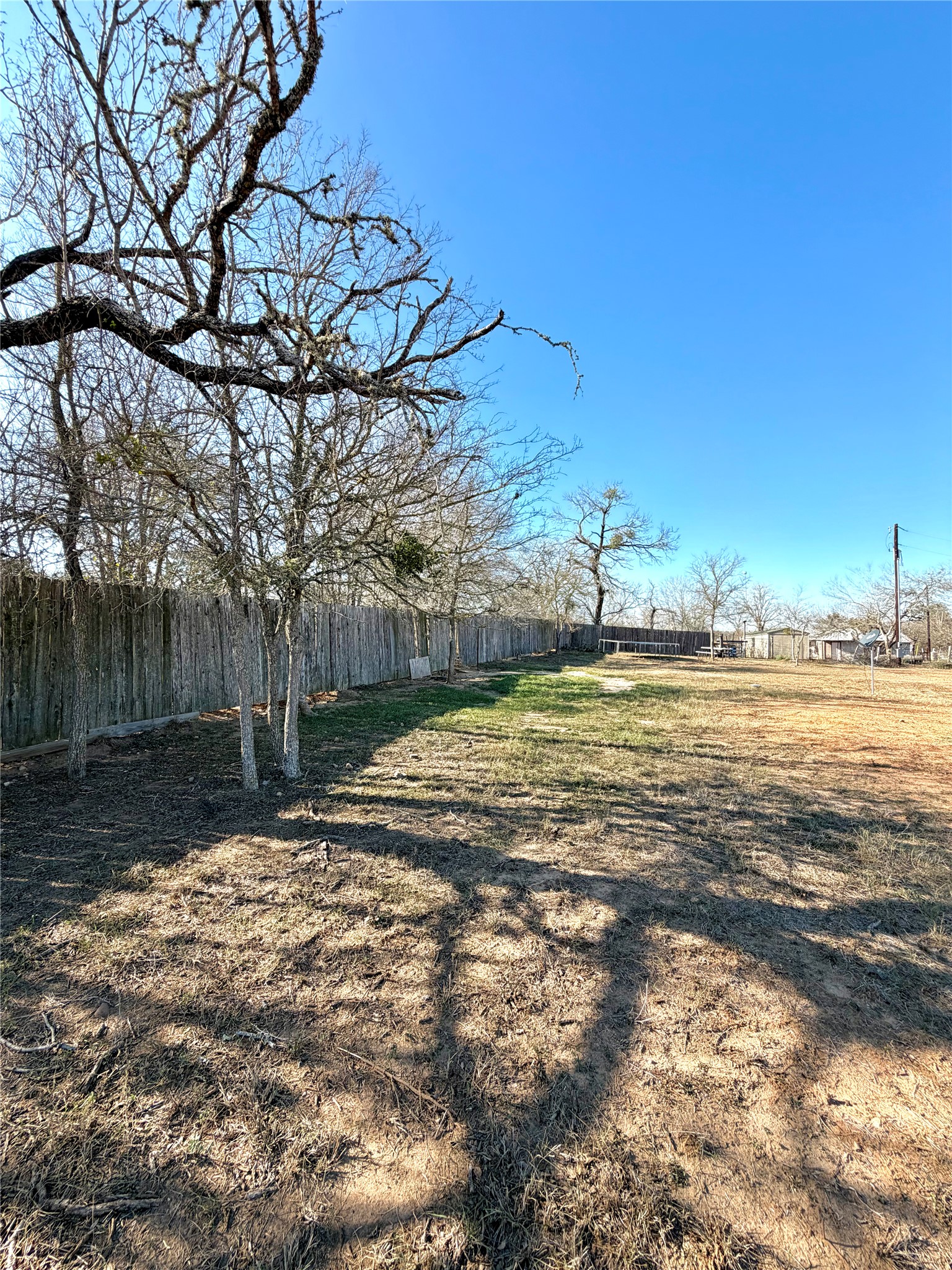 3248 Dale Lane Dale, TX 78616 - Photo 11 of 19 View of yard