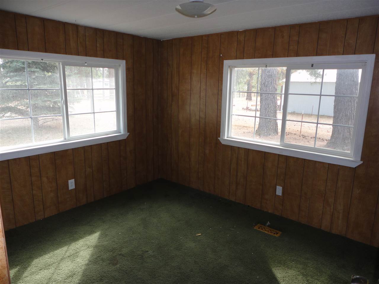 20506 North Thor Road Colbert, WA 99005 - Photo 12 of 20