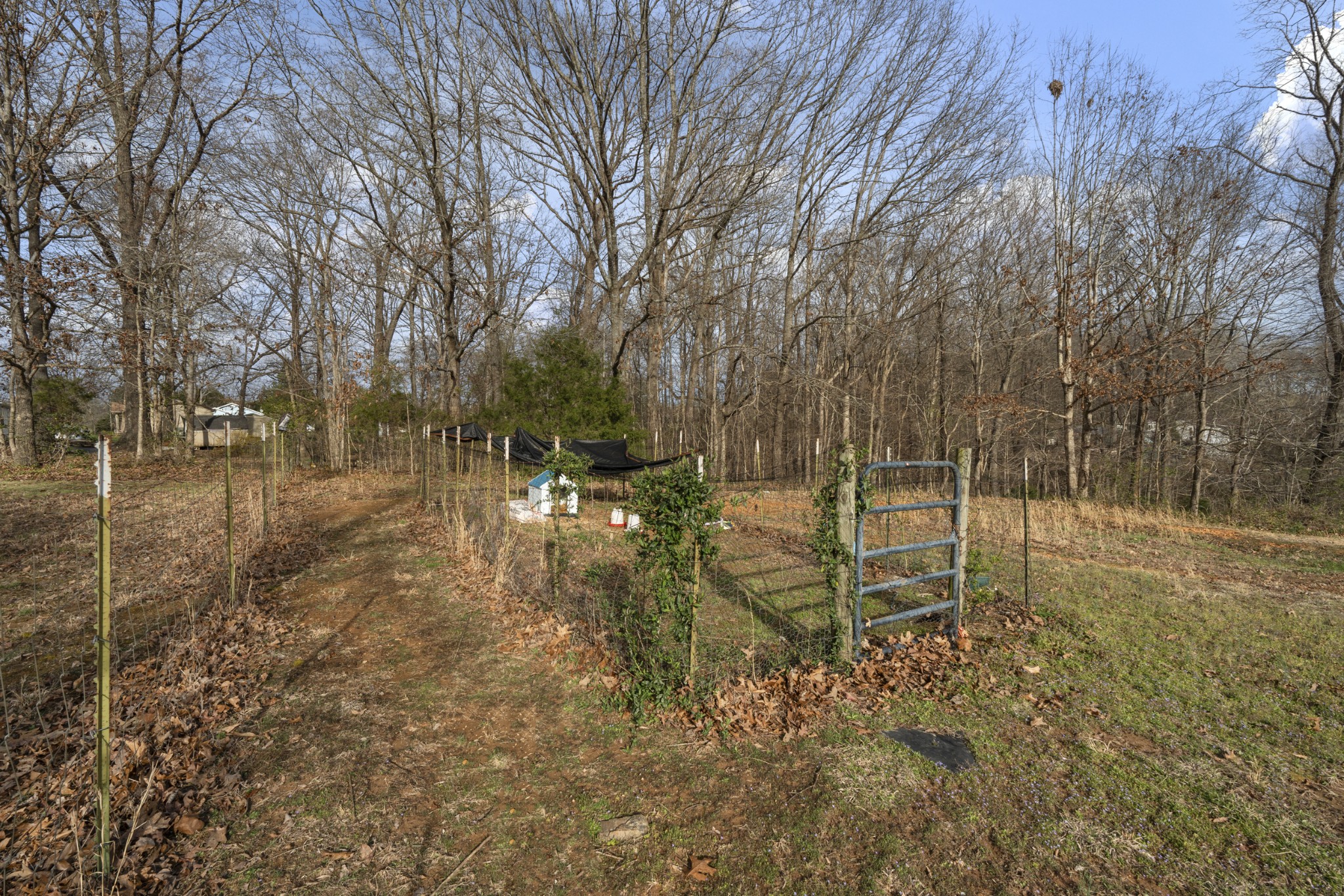 3041 Old New Cut Road Springfield, TN 37172 - Photo 24 of 25 Gallery Image 24