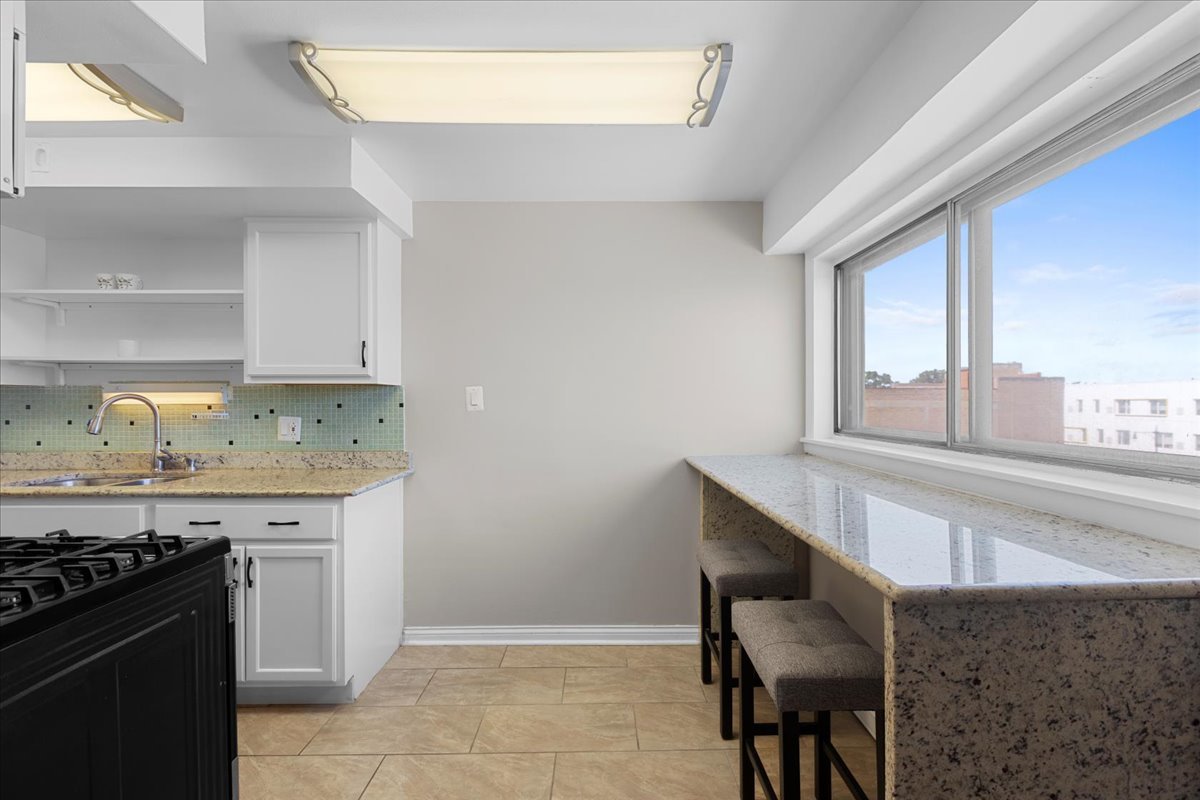 7540 North Ridge Boulevard, Unit 5C Chicago, IL 60645 - Photo 6 of 11 Gallery Image 6