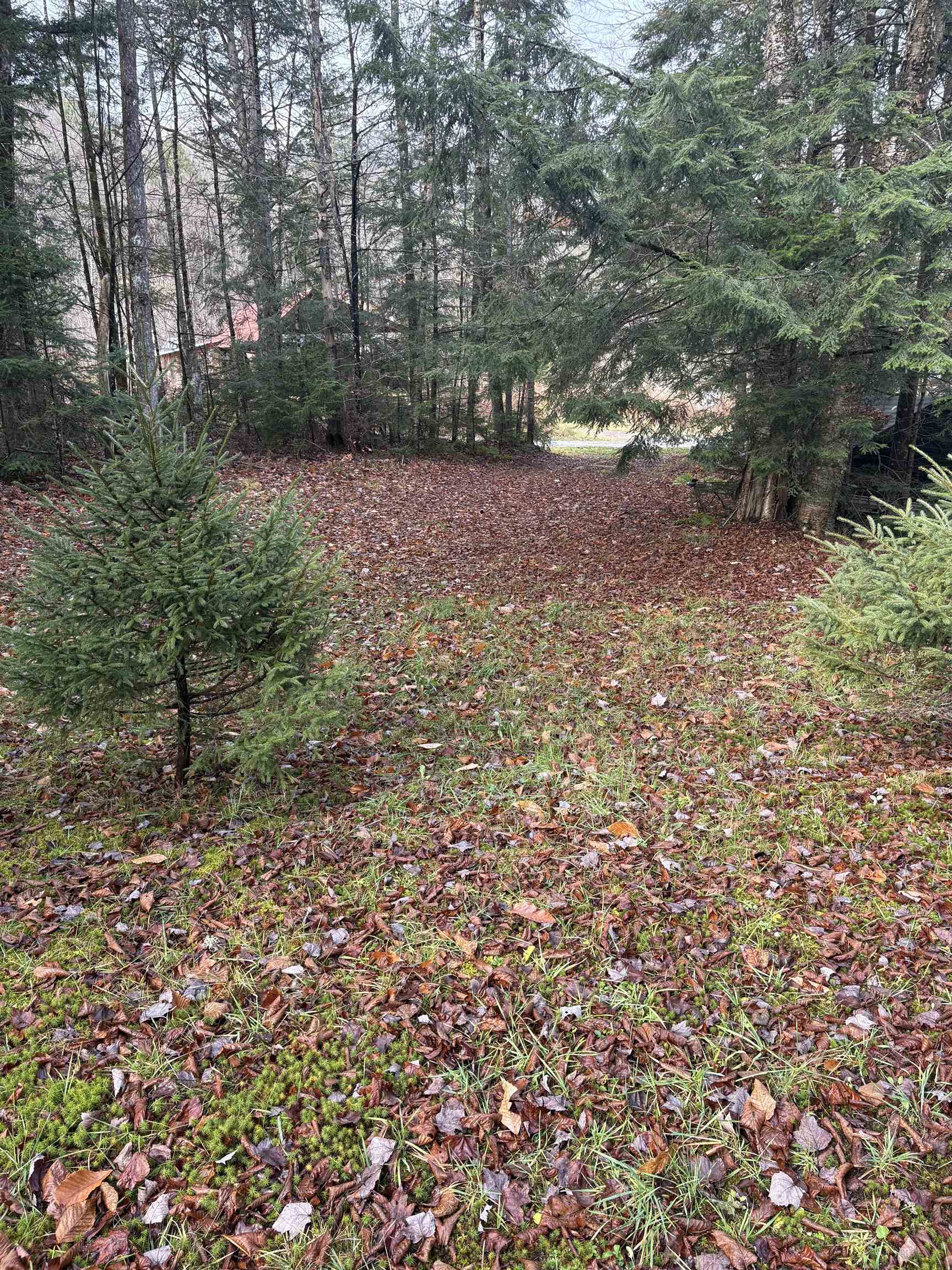 559 Corporation Road Rochester, VT 05767 - Photo 43 of 47