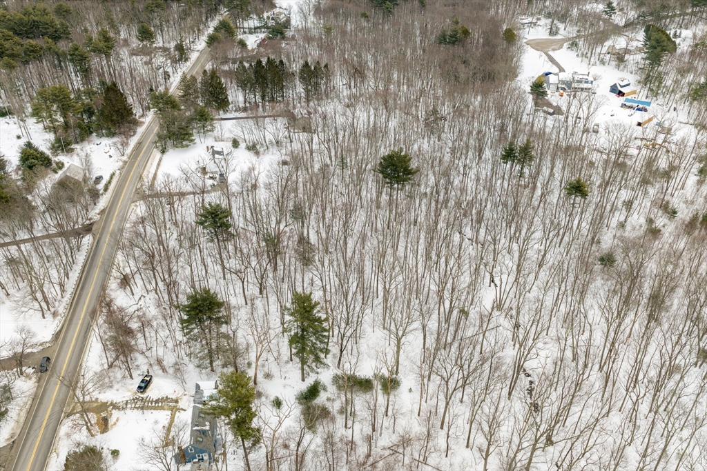 60 Webster Street Douglas, MA 01516 - Photo 11 of 14 a close up of a plant in a yard