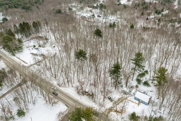 a view of a tree with a wooden fence