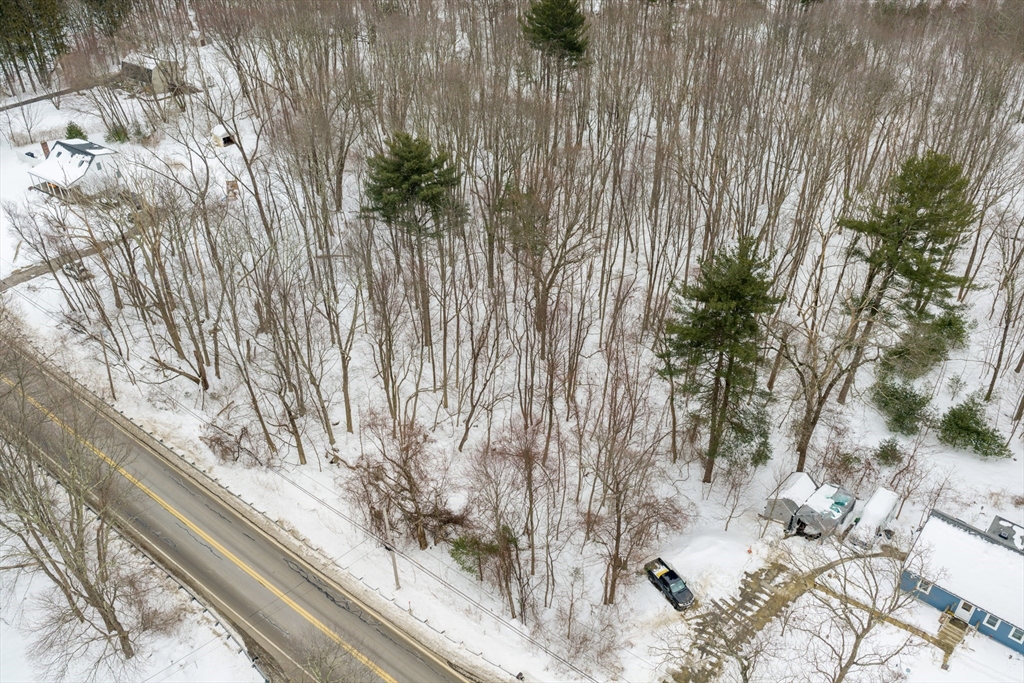 60 Webster Street Douglas, MA 01516 - Photo 14 of 14 a view of a tree with a wooden fence