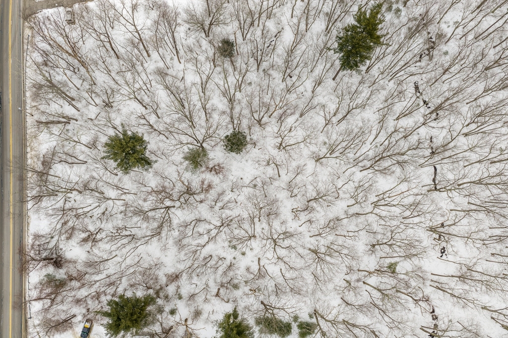 60 Webster Street Douglas, MA 01516 - Photo 3 of 14 a view of a yard