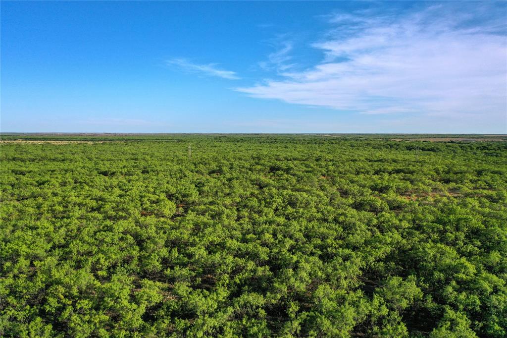 Tbd Kimbrough Road Haskell, TX 79521 - Photo 13 of 21