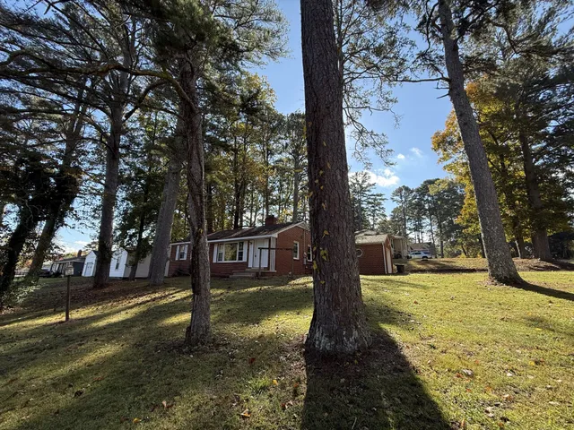 a view of a yard with trees