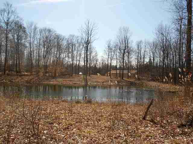 3407 East Sutton Road Dryden, MI 48428 - Photo 21 of 27 31130992-20.JPG