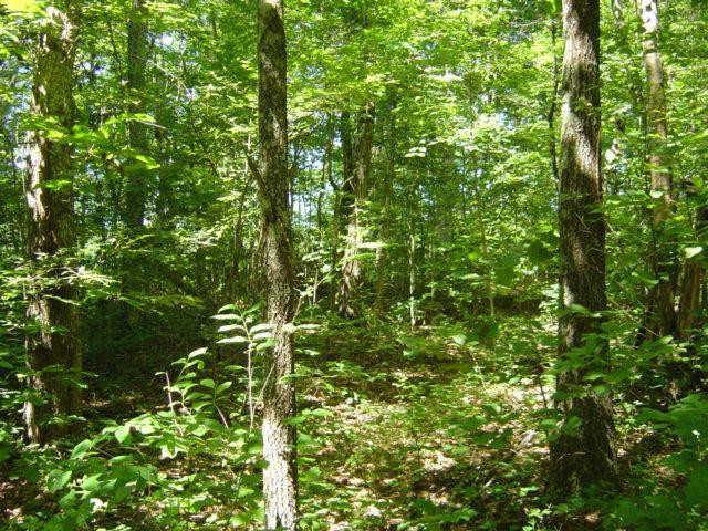 9999 Patton Road London, KY 40744 - Photo 20 of 28 Photo 20