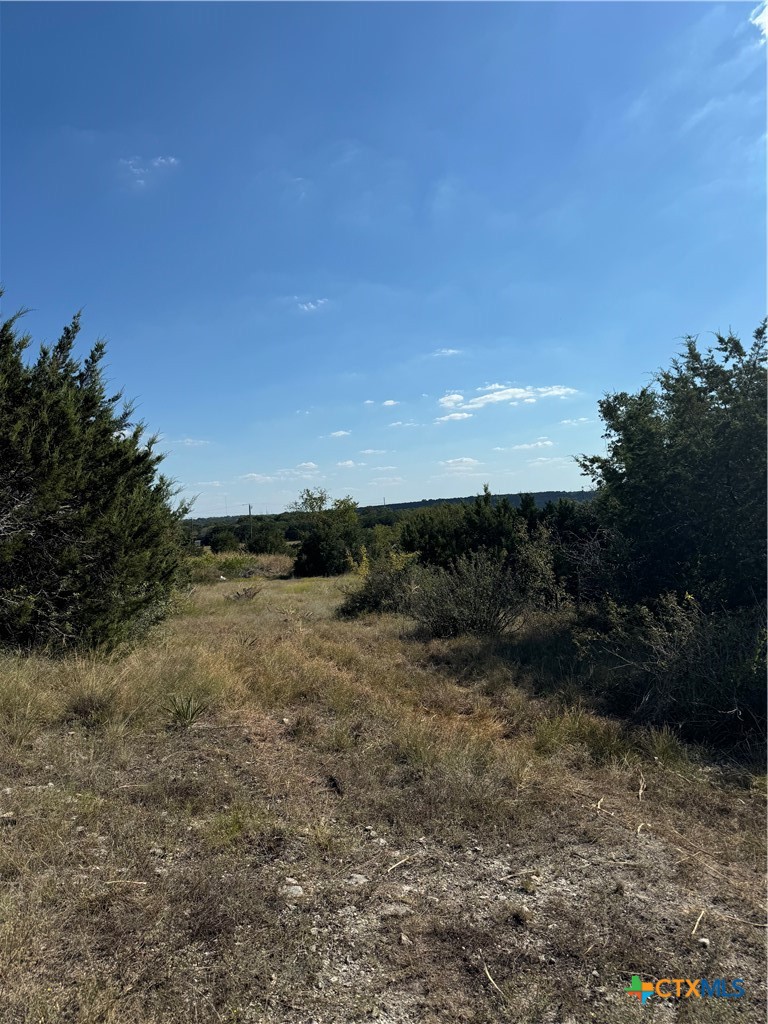 Lot 19 Bowles Ranch Road Belton, TX 76513 - Photo 5 of 9 a view of a dry yard with wooden fence