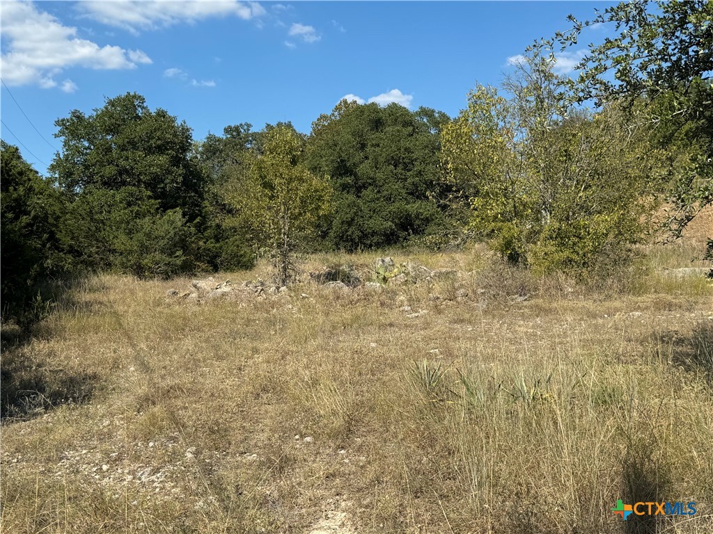 Lot 19 Bowles Ranch Road Belton, TX 76513 - Photo 7 of 9 a view of a yard with trees