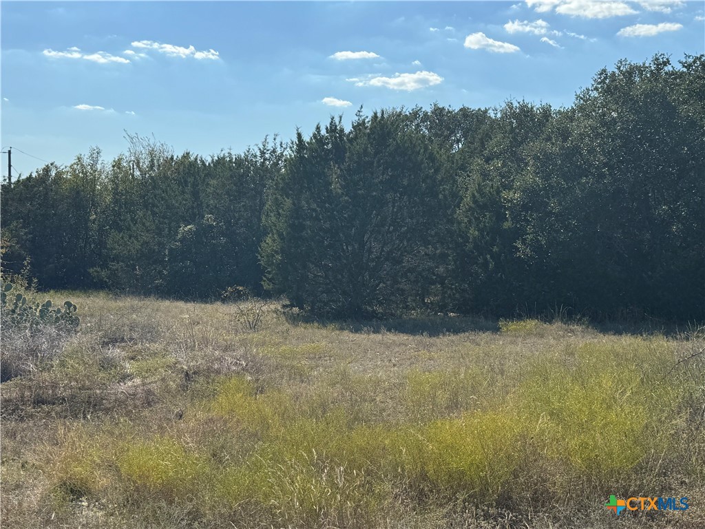 Lot 19 Bowles Ranch Road Belton, TX 76513 - Photo 9 of 9 a view of swimming pool and mountain in the back