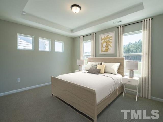 435 Diversity Way Raleigh, NC 27610 - Photo 6 of 7 Photo is not of the actual home, but is an inspirational photo of builder’s model home and may depict options, furnishings, and/or decorator features that are not included