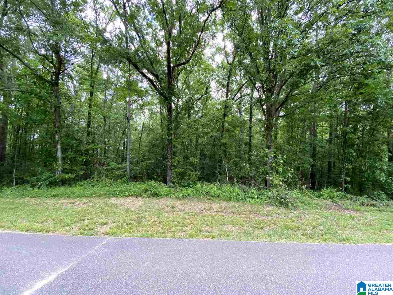 0 2nd Avenue, Unit 95 Calera, AL 35040 - Photo 1 of 6