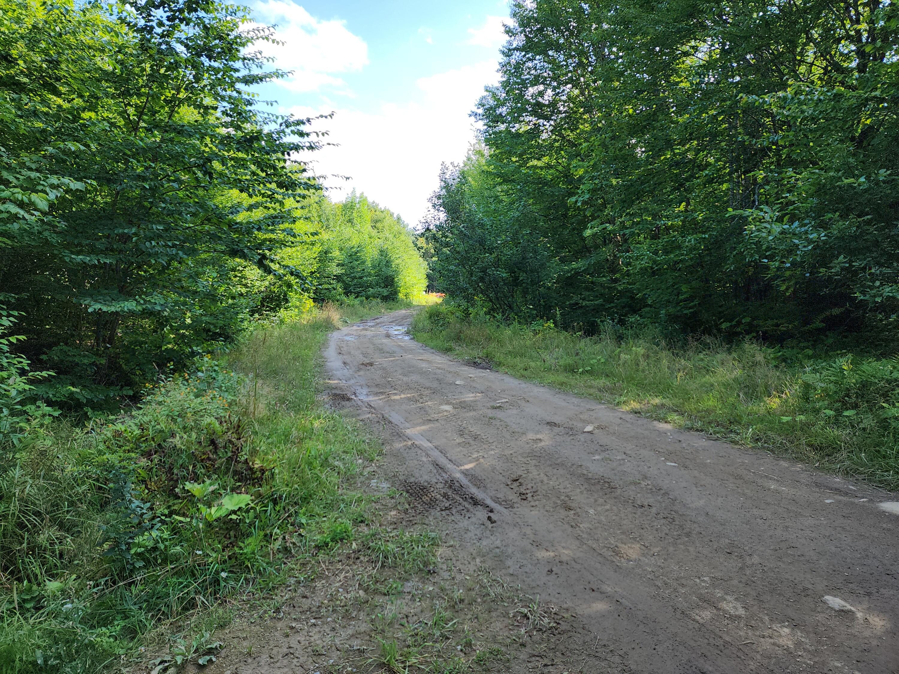 Lot E Fire Road Linneus, ME 04730 - Photo 2 of 10 20230829_161015