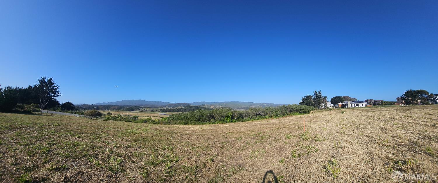 a view of a dry yard with trees