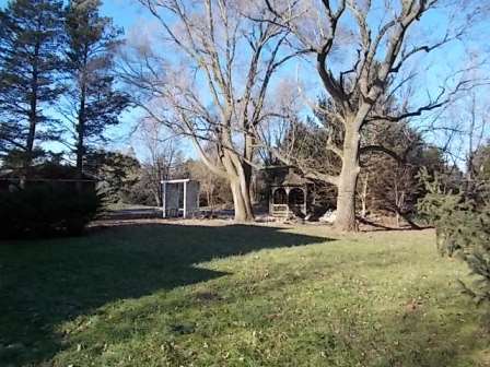 775 North Gorham Road Morris, IL 60450 - Photo 29 of 41 a view of a yard with plants and large trees