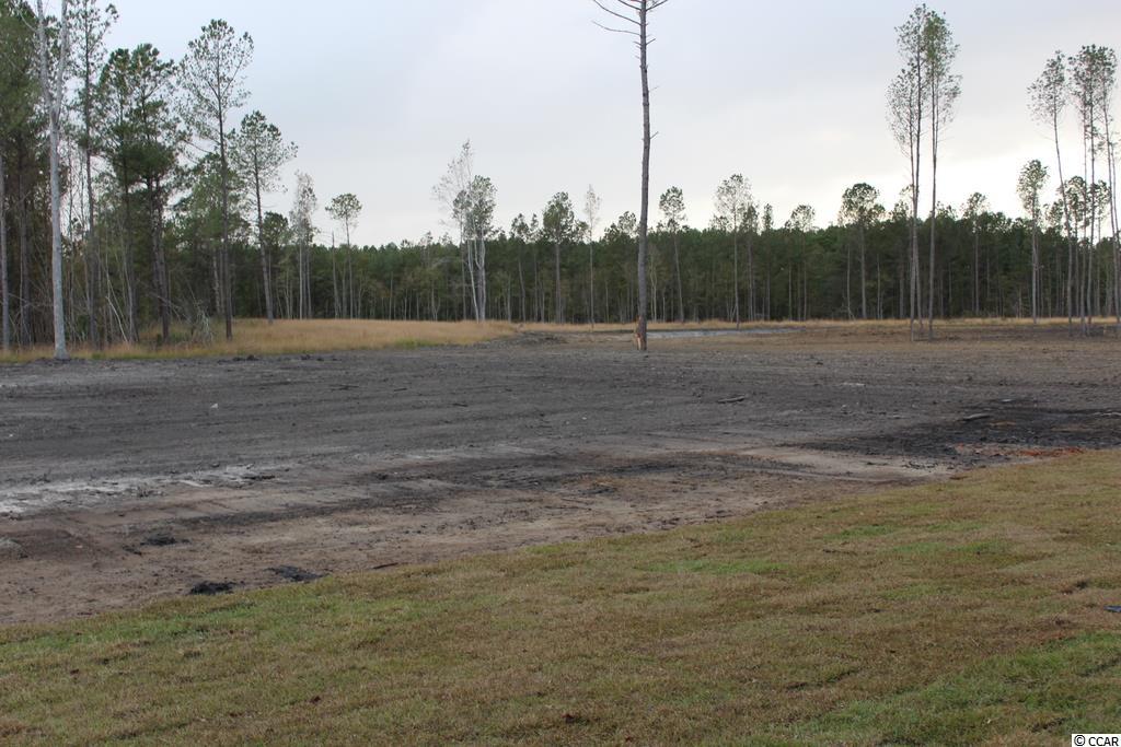 2771 Allen Dew Road Conway, SC 29527 - Photo 25 of 34