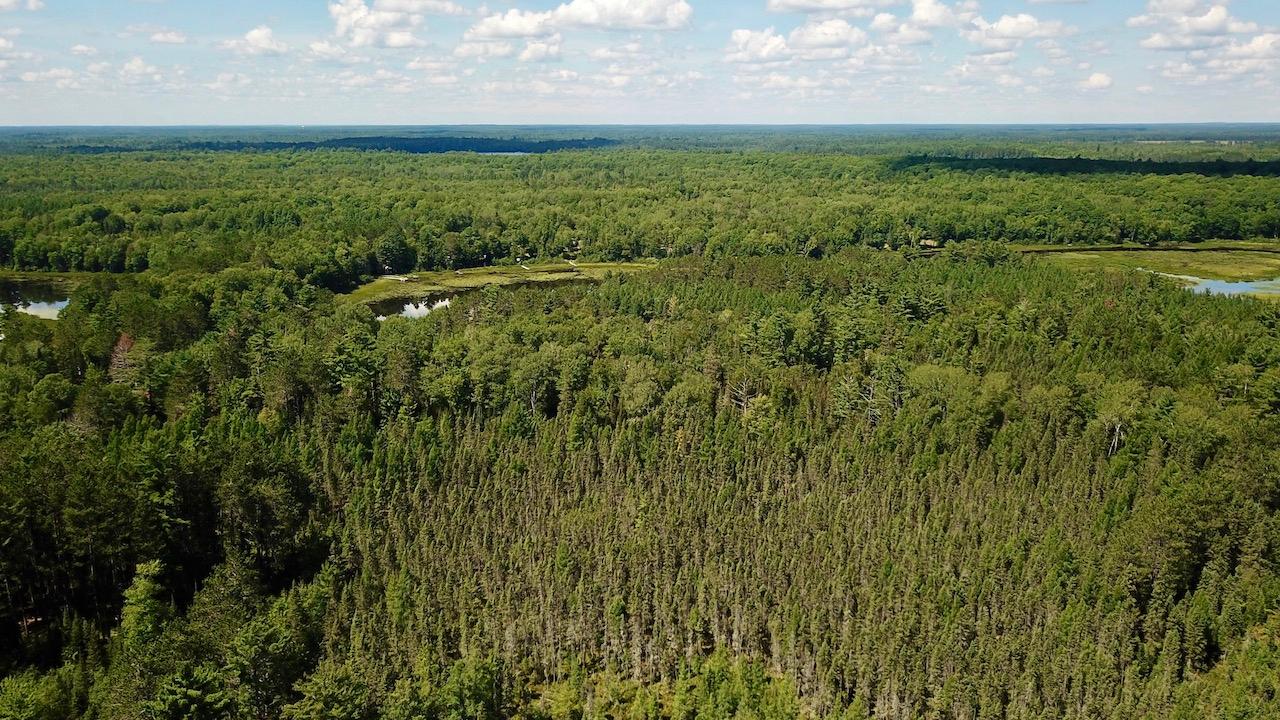 Off Clausen Road Rhinelander, WI 54501 - Photo 8 of 25 Gallery Image 8