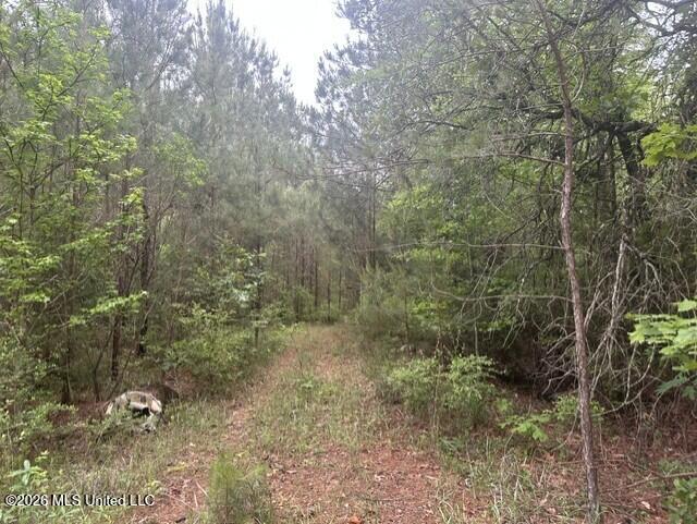 1048 Williamson Road Wesson, MS 39191 - Photo 4 of 11 land 08