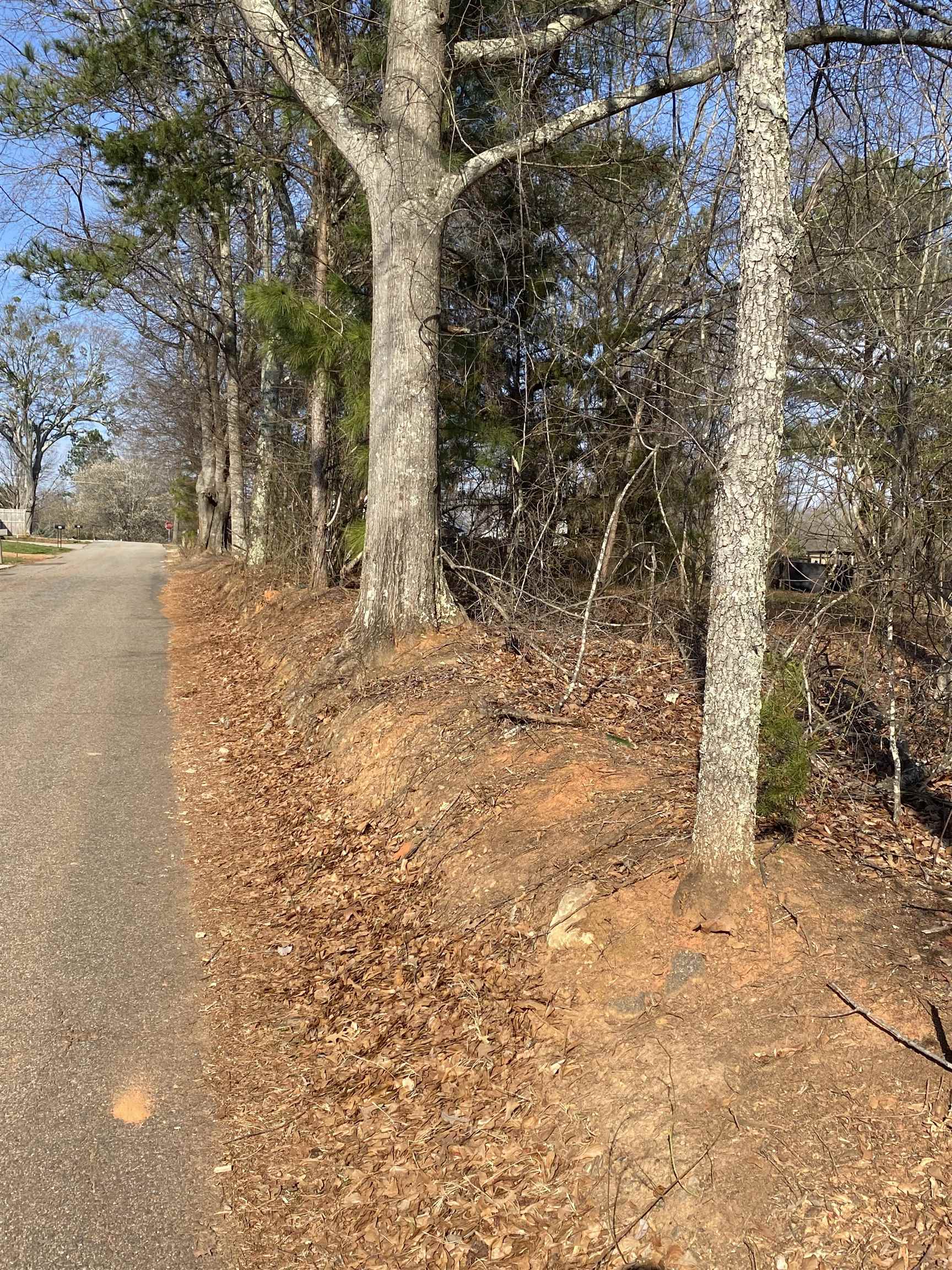 0 Rainbow Lake Road Boiling Springs, SC 29316 - Photo 8 of 13 Gallery Image 8