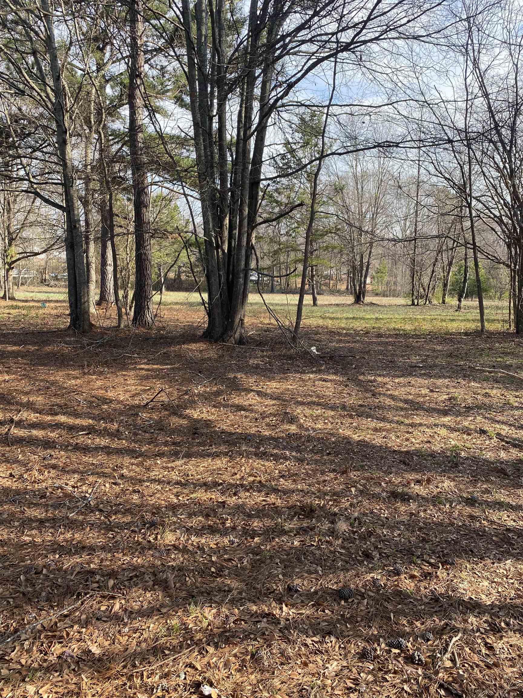 0 Rainbow Lake Road Boiling Springs, SC 29316 - Photo 10 of 13 Gallery Image 10