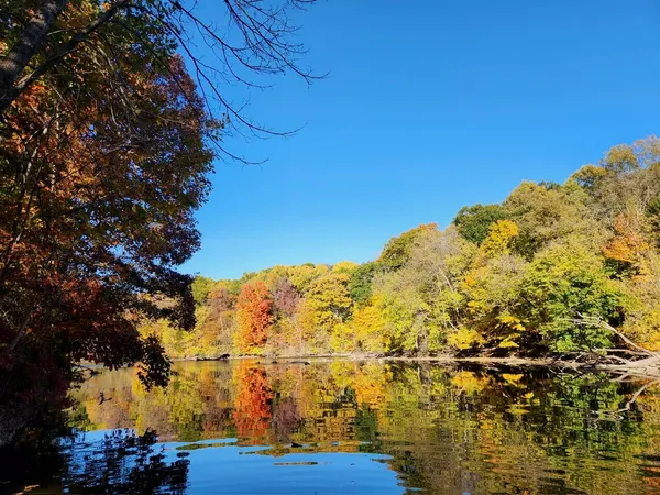 $649,900 | 7544 Thornapple River Drive Southeast, Caledonia, MI 49316