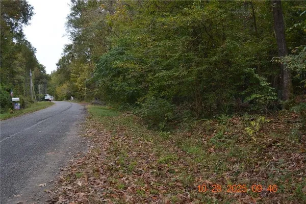 a view of a dirt road with trees