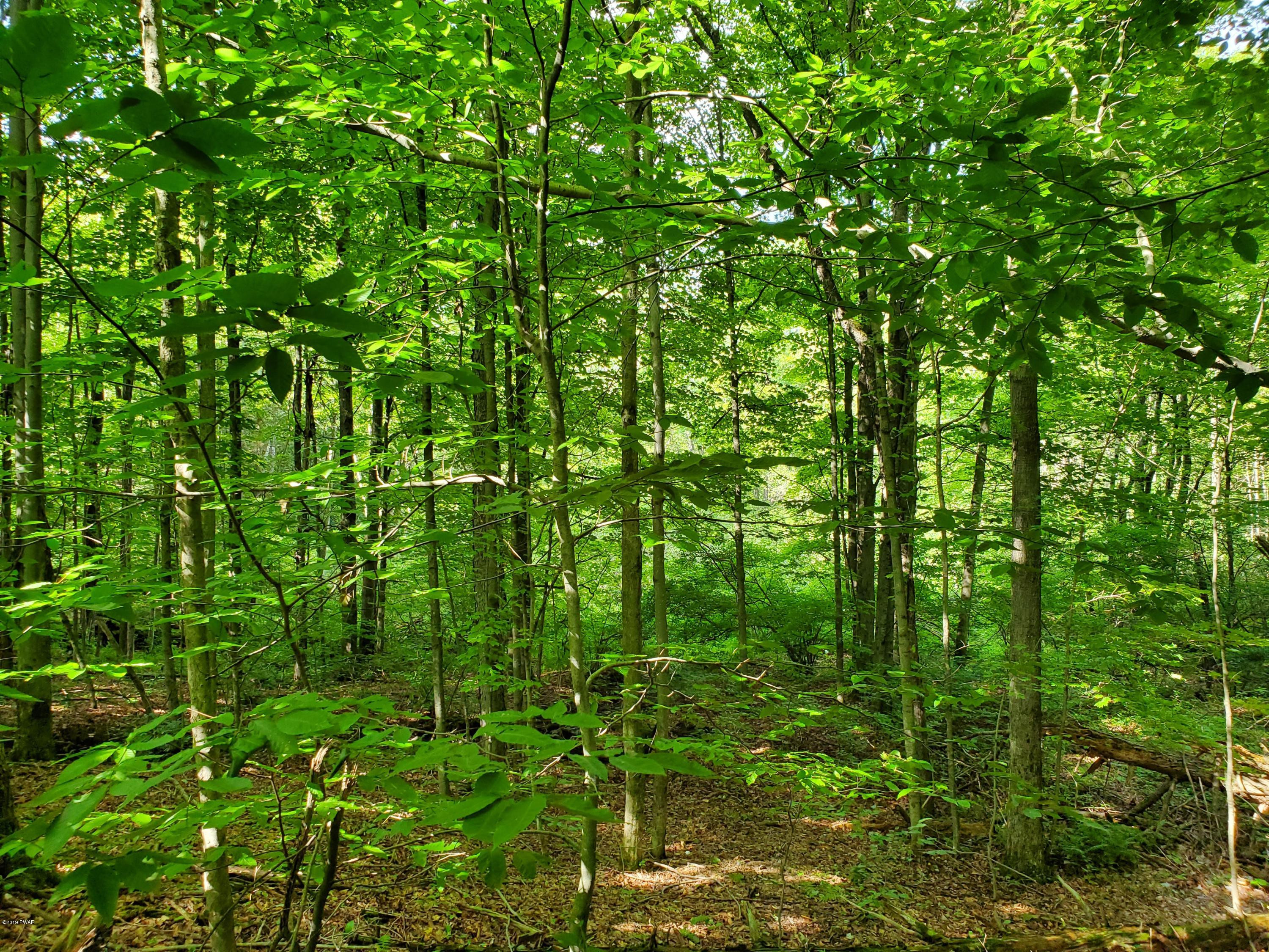 Lot 5 Hanlon Rd Lake Lake Ariel, PA 18436 - Photo 7 of 9