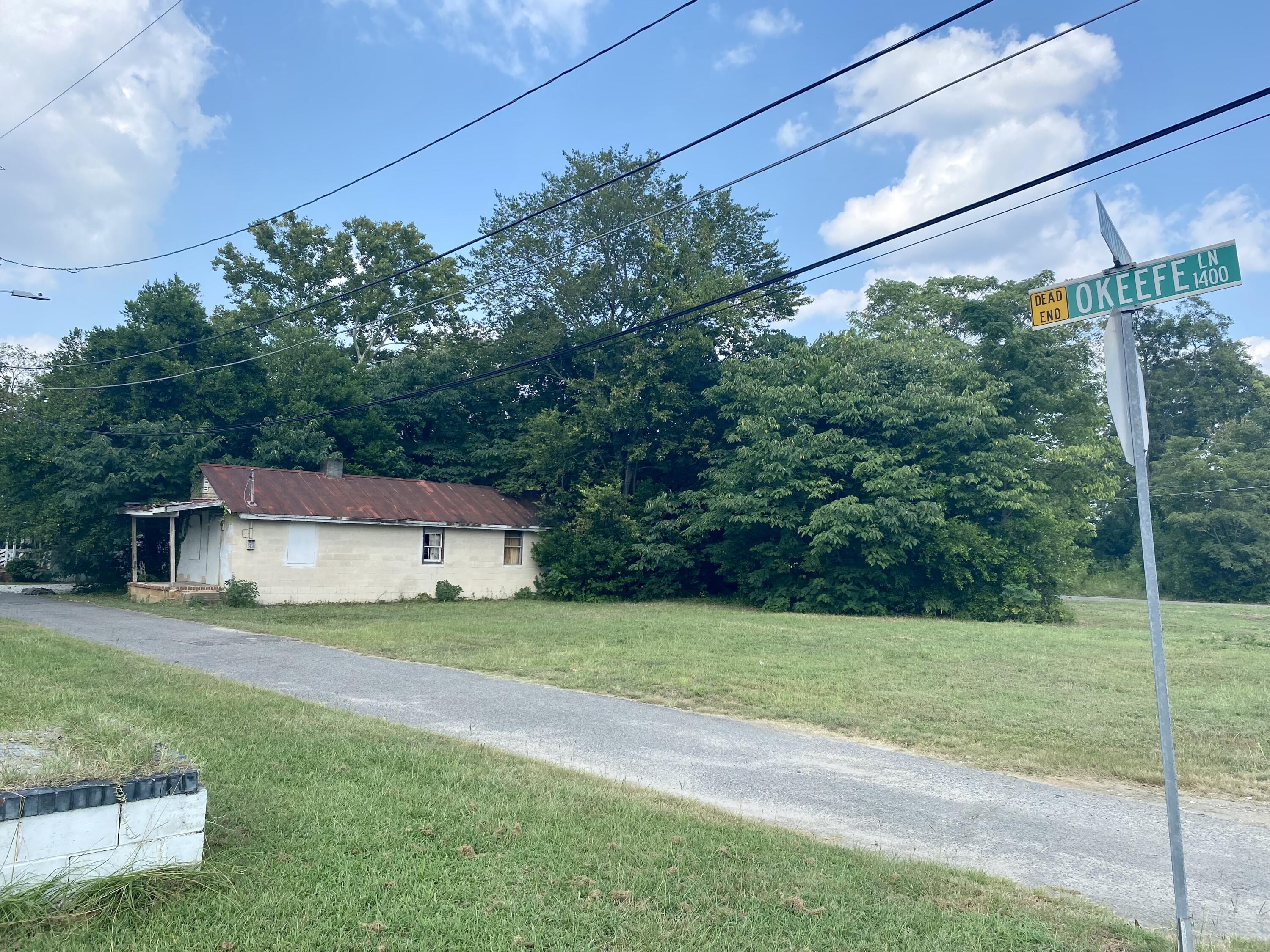 1434 Okeefe Lane Augusta, GA 30901 - Photo 3 of 10 IMG_8549