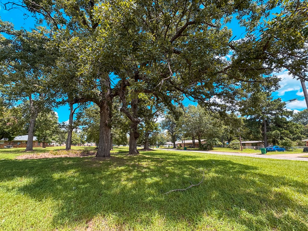 1711 West Point Tap Road Palestine, TX 75803 - Photo 12 of 17