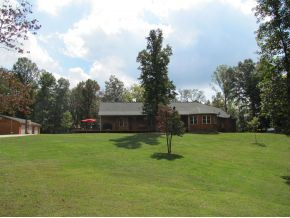 1374 West Allens Bridge Road Greeneville, TN 37743 - Photo 19 of 24 Beautiful back yard