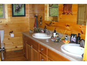 1374 West Allens Bridge Road Greeneville, TN 37743 - Photo 9 of 24 master bath