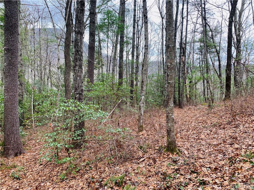 0 Rocky Ridge Road Sapphire, NC 28774 - Photo 8 of 8 Gallery Image 8