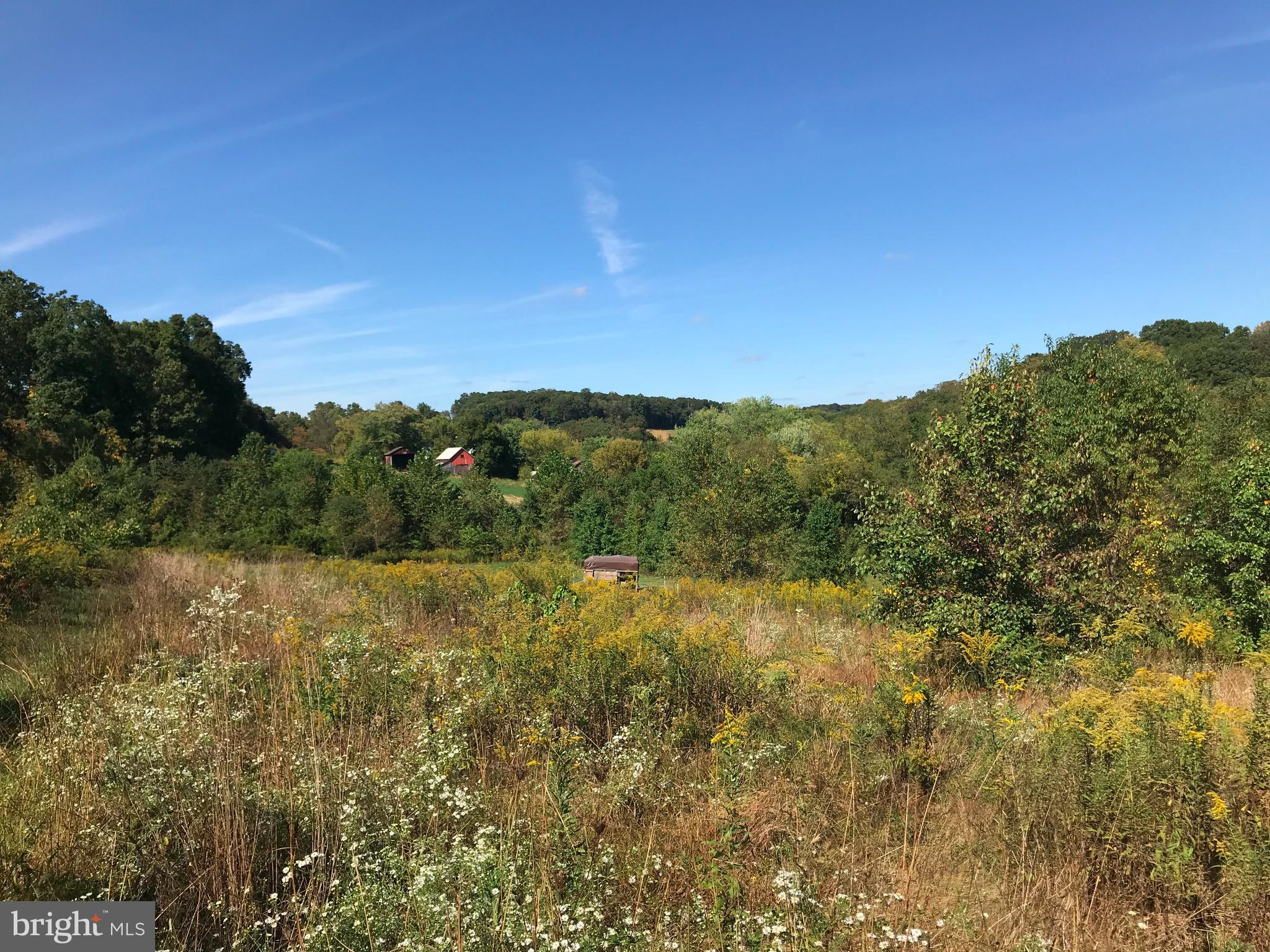 1305 Oakland Road Freeland, MD 21053 - Photo 1 of 10 Looking back to home area across farm pastures.