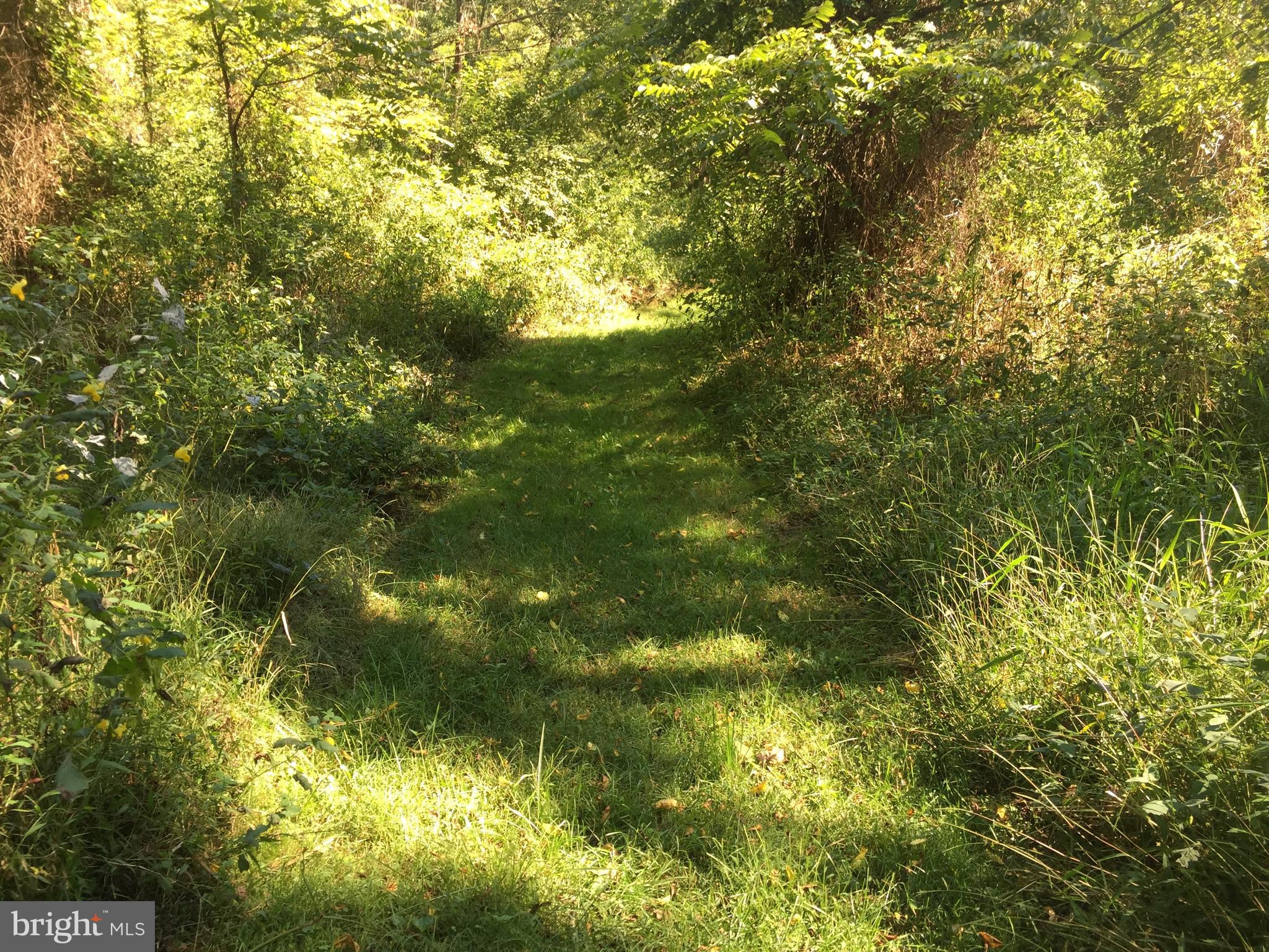 1305 Oakland Road Freeland, MD 21053 - Photo 3 of 10 Trail in the Forest Preserve