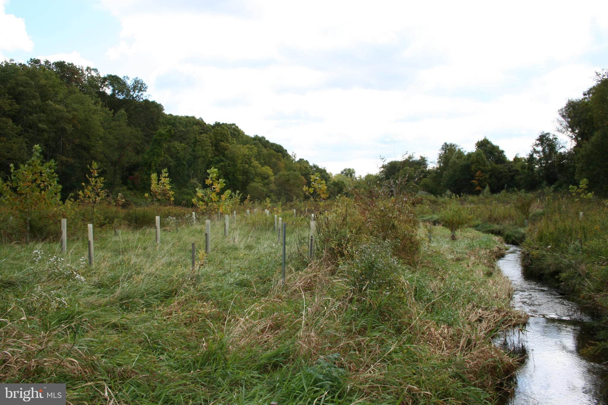 1305 Oakland Road Freeland, MD 21053 - Photo 5 of 10 Forest Restoration
