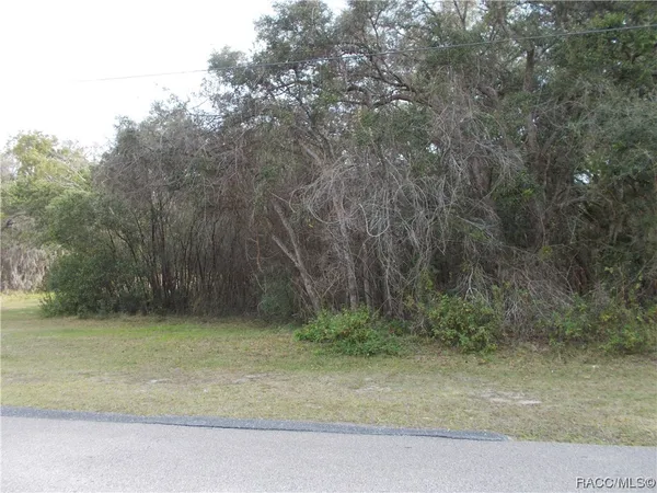 $59,900 | 241 North Highview Avenue, Hernando, FL 34442